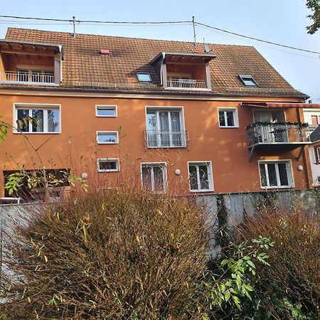 Meubles Du 25 N2 F2 Rdc Lejlighed Niederbronn-les-Bains Eksteriør billede