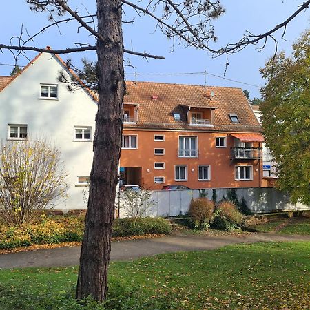 Meubles Du 25 N2 F2 Rdc Lejlighed Niederbronn-les-Bains Eksteriør billede